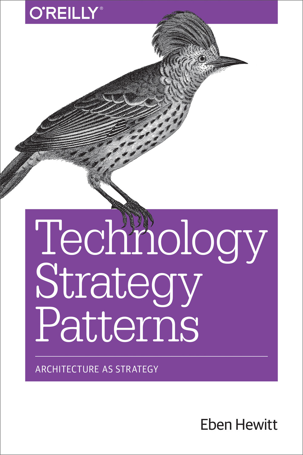 Technology Strategy Patterns — original cover